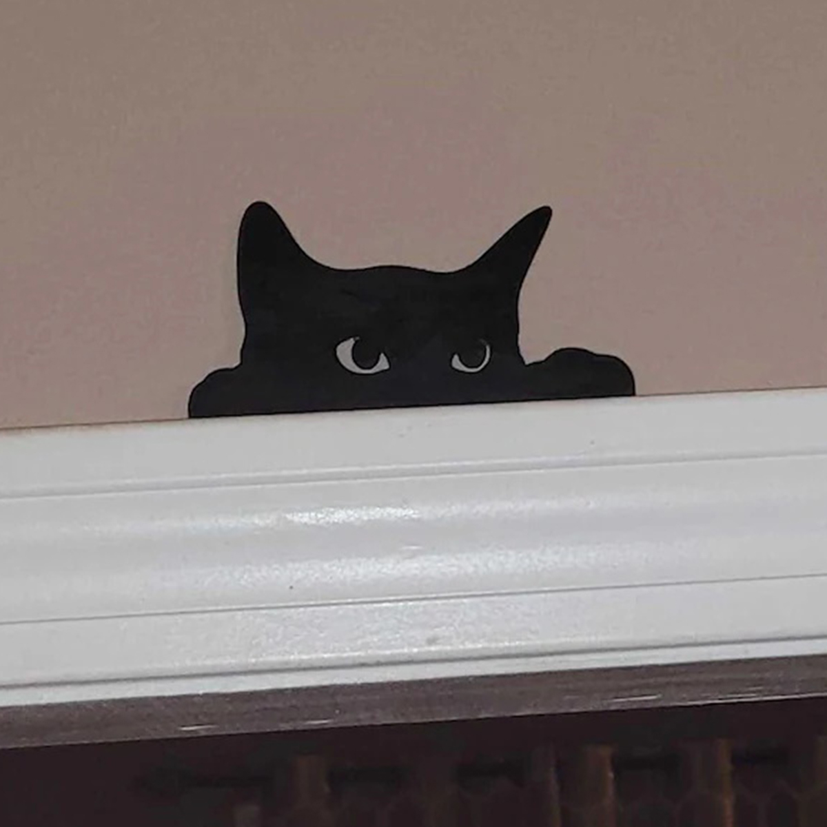 Tablet Accessories Aesthetic - 1 Pc Cat looking up Door